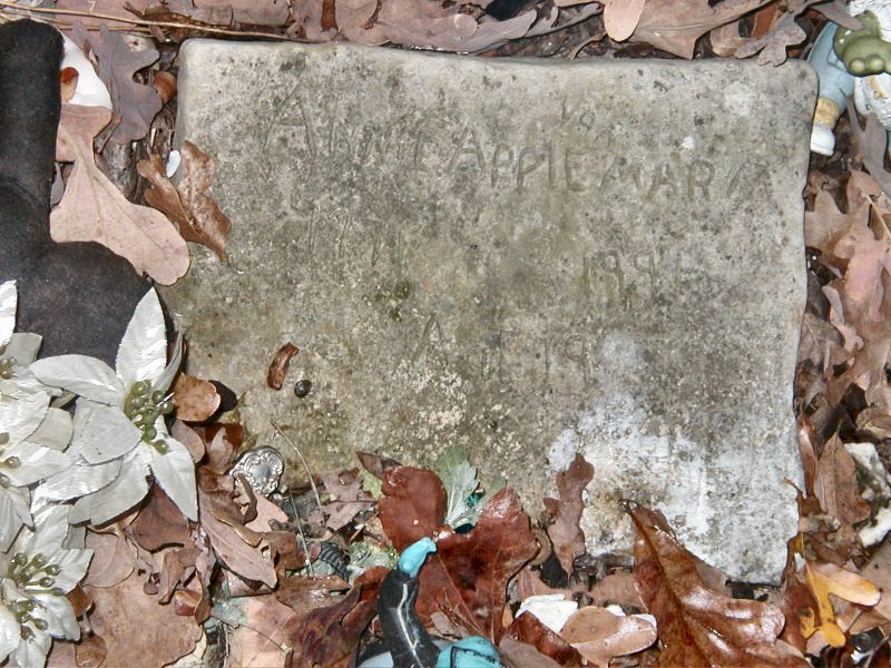 annies stone