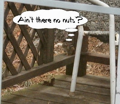 the Munk